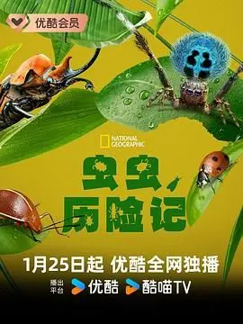 《虫虫历险记》：一个新人作家谱写的奇幻史诗，笑中带泪！
